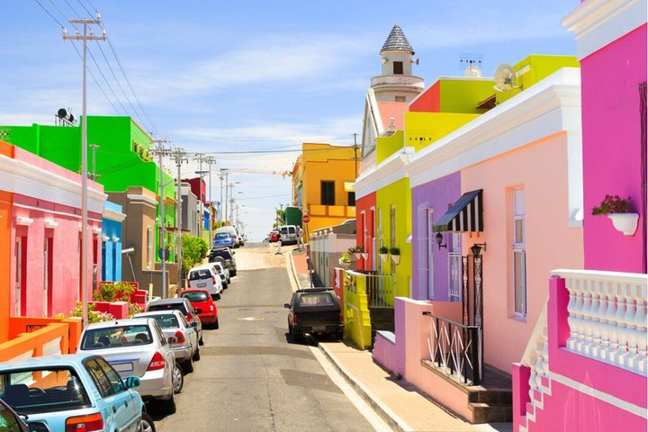 Urban Safari in Cape Town - Private Tour - Photo 1 of 9